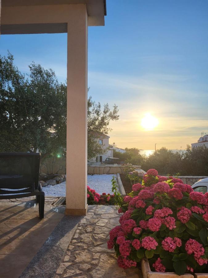 Villa Tea Ražanj Exteriér fotografie